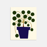 Pilea Art Print By Jordan Lee