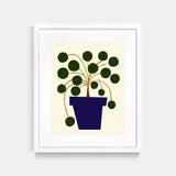 Pilea Art Print White Frame By Jordan Lee