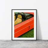 Rosso Mugello Print Keith Martine