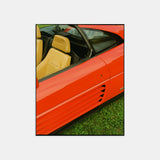 Rosso Mugello Print Keith Martine