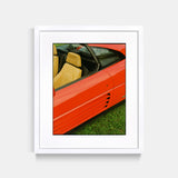 Rosso Mugello Print Keith Martine