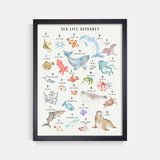 Sea Life Animal Alphabet Watercolor Print