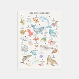 Sea Life Animal Alphabet Watercolor Print