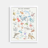 Sea Life Animal Alphabet Watercolor Print