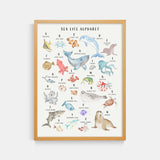 Sea Life Animal Alphabet Watercolor Print