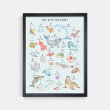 Sea Life Animal Alphabet Watercolor Print