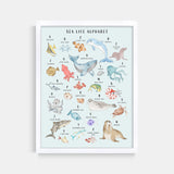 Sea Life Animal Alphabet Watercolor Print