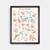 Sea Life Animal Alphabet Watercolor Print