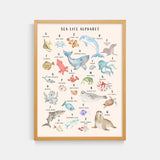 Sea Life Animal Alphabet Watercolor Print