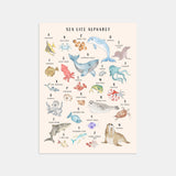 Sea Life Animal Alphabet Watercolor Print