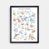 Sea Life Animal Alphabet Watercolor Print