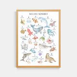 Sea Life Animal Alphabet Watercolor Print