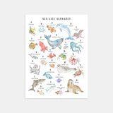 Sea Life Animal Alphabet Watercolor Print