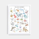 Sea Life Animal Alphabet Watercolor Print