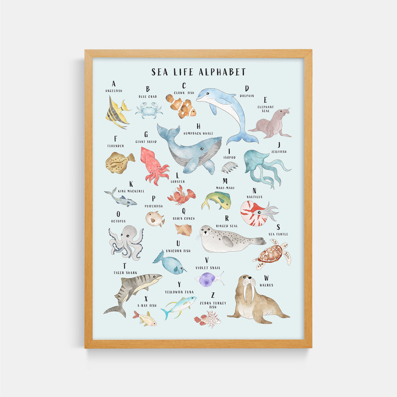 Sea Life Animal Alphabet Watercolor Print