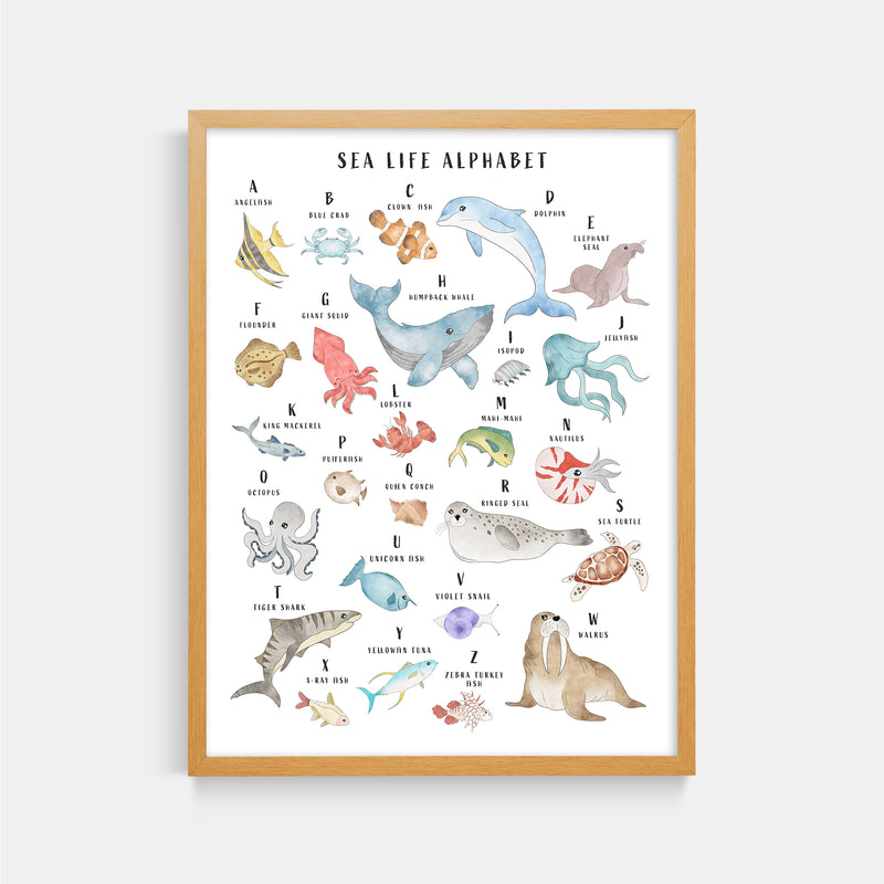 Sea Life Animal Alphabet Watercolor Print